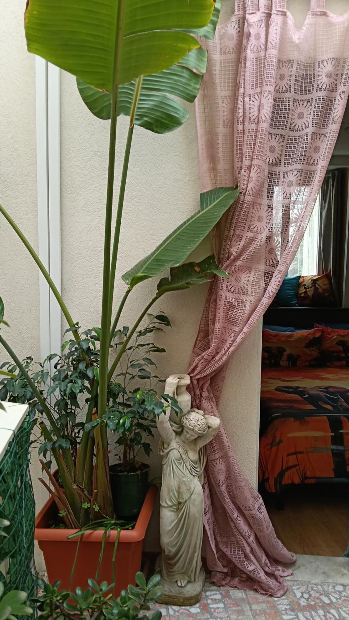 Very Smail House 奥古斯塔 外观 照片