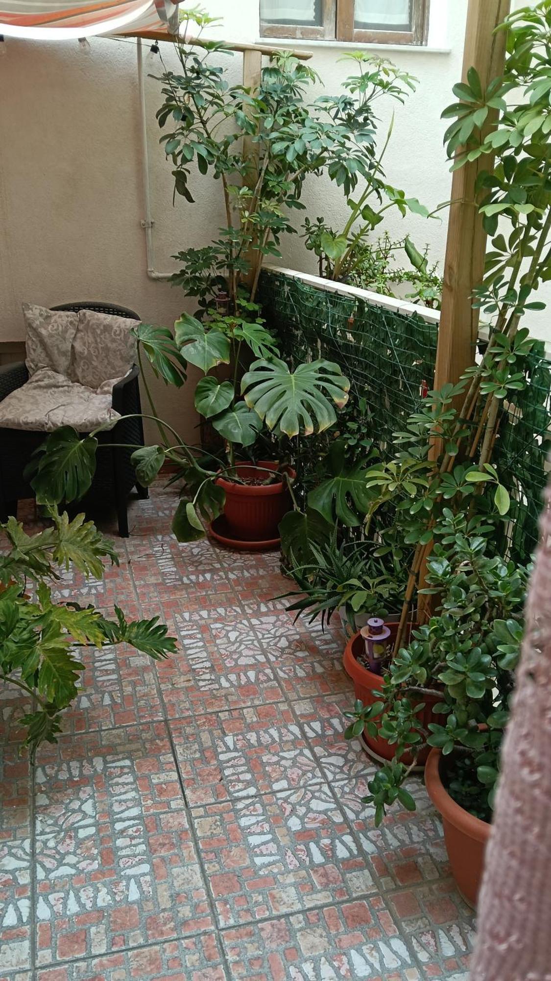 Very Smail House 奥古斯塔 外观 照片